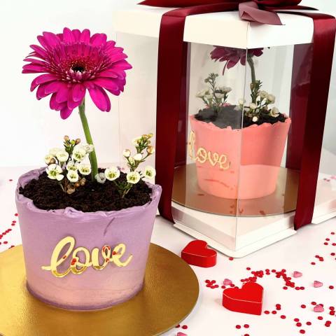 Seed of Love - Valentine's Edition